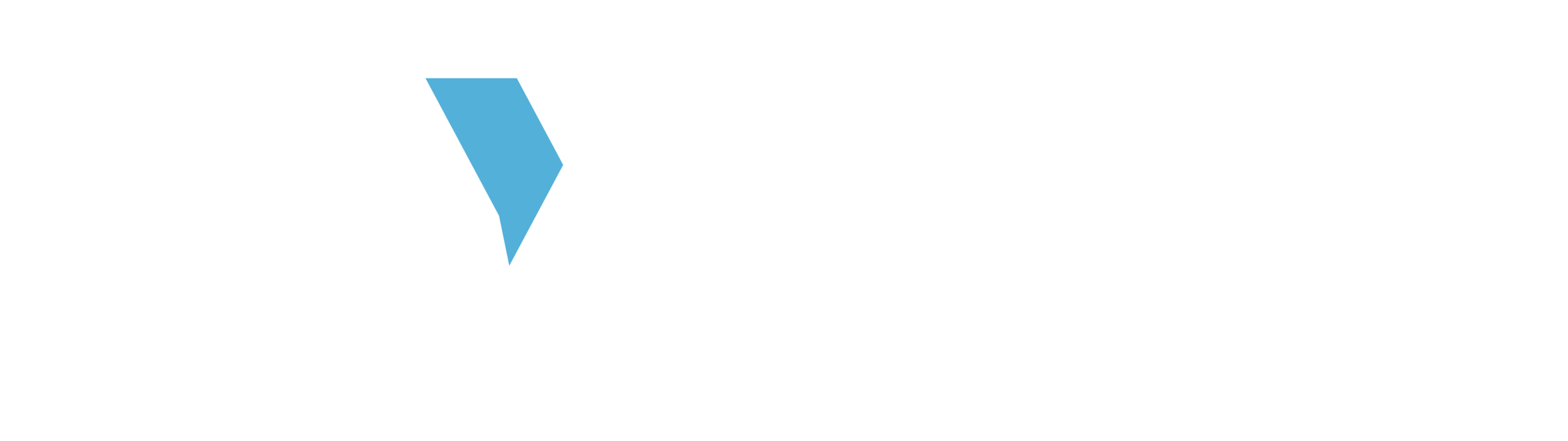 The Women’s Foundation